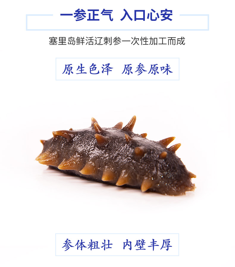 新玉麟大连即食海参 野生海参干货 辽刺参海渗礼盒400g